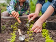What are the Benefits of Gardening?
