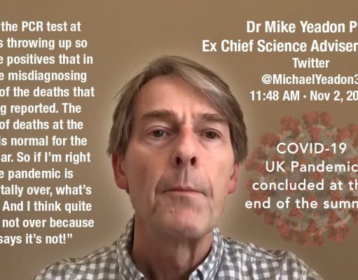 The Petition against Pfizer and other COVID-19 Vaccines by Dr. Mike Yeadon and Dr. Wolfgang Wodarg