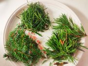 Is Suramin or Pine Needle Tea Antidote to COVID Vaccine Effects?
