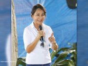 Cebu Gov. Garcia rejects call to run for Senator, Aims for Reelection in 2022