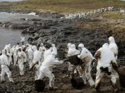 Oil Spill in the Galapagos Islands of Ecuador