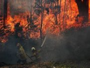 Australia Declares State of Emergency Due to On-going Catastrophic Fires