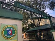 DOH: Result of quarantine violator genome sequence, ‘will not be made public’