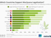 The Difference Between Decriminalization, Legalization, and Medical Exemption of Marijuana