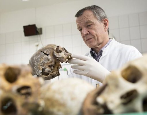German Forensic Doctor Claims: No COVID-19 Death in Hamburg