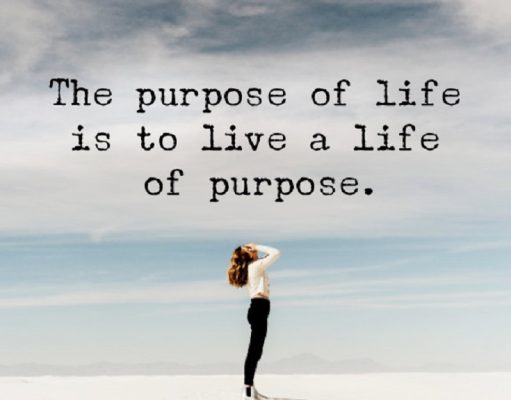 Affection, Purpose, Responsibility, and Meaning