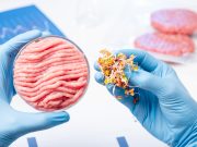 The Ingredients in Synthetic Meat and “Plant-based” Eggs