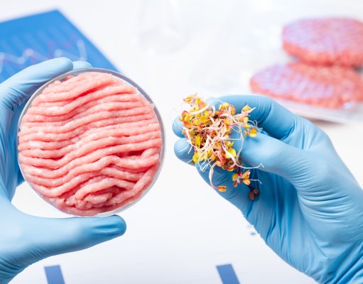 The Ingredients in Synthetic Meat and “Plant-based” Eggs