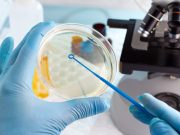 How the Knowledge about “Terrain Theory” Empowers Us and Strengthens Our Mental Health