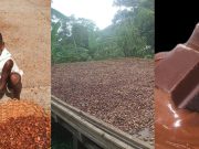 Facts about Chocolates that People Need to Know