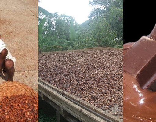 Facts about Chocolates that People Need to Know