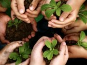 Gardening as Mental Health Therapy