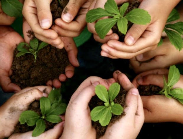 Gardening-as-Mental-Health-Therapy