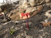 Making the World Better