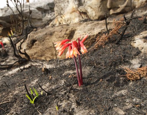 Making the World Better