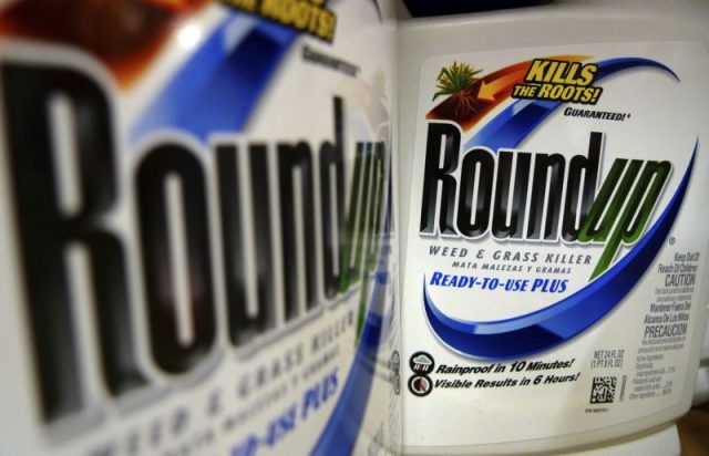 The-Effects-of-Roundup-Glyphosate-to-Farmers