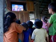 The Effects of Television on Children