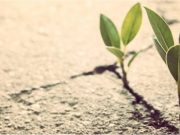 The Importance of Resilience