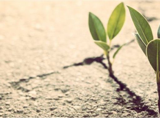 The Importance of Resilience