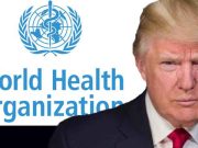 Pres. Trump Announced the US is Cutting Ties with the WHO over COVID-19; is He Playing Dumb?