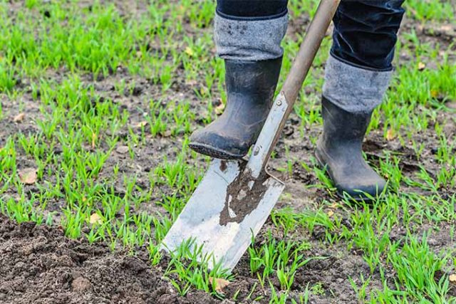 What-are-the-Benefits-of-Gardening
