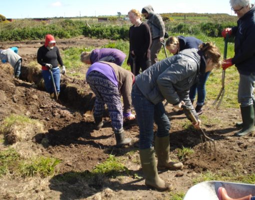 What is “Intentional” Community?