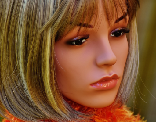 Questions on AI Sex Robots and the MGTOW Community