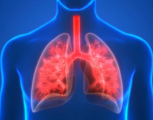 How to Protect and Take Care of Your Lung