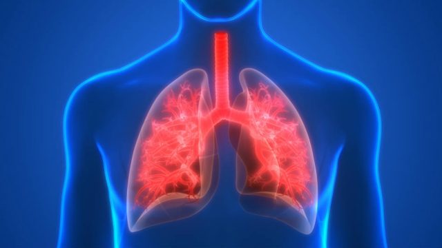 healthy-lungs