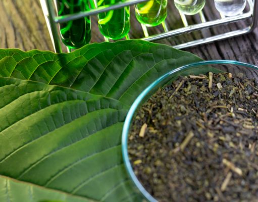 Kratom: The Amazing Benefits and Some Risks
