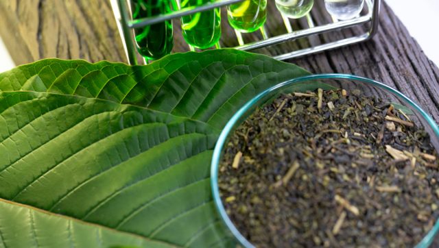 kratom-tea