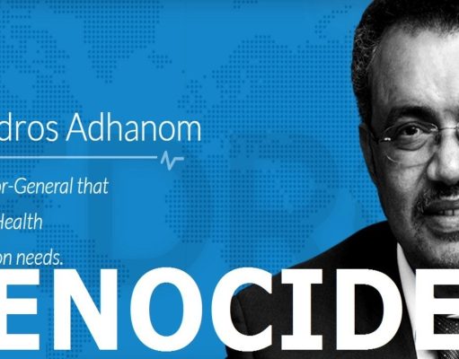 Human Rights Violations of WHO Director Tedros Adhanom against the “Amhara People”