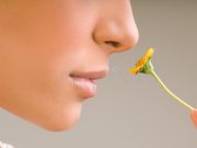 What is Anosmia or the Loss of Smell?