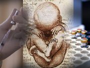 Whistle-blower Exposes: Pfizer Use Cell Lines from Aborted Human Fetus