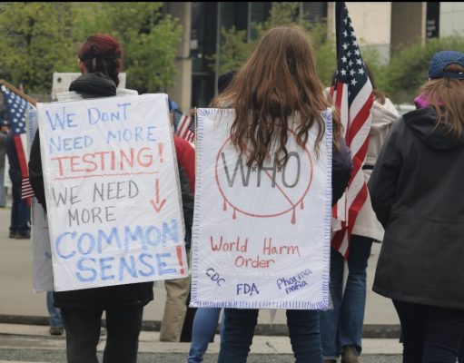 Why Experts and other People Do Not Trust the World Health Organization (WHO)