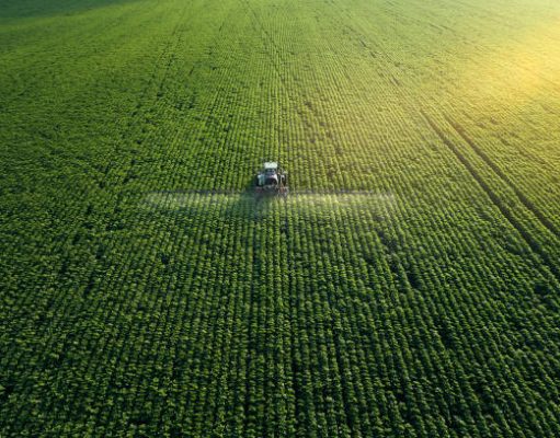 Could Bill Gates’ New Investment in Agriculture Lead to More Ecological Disasters?