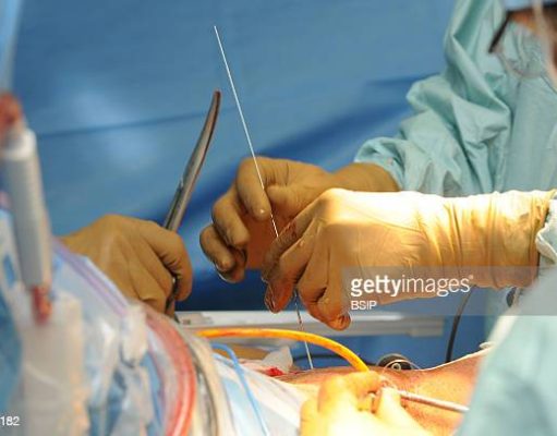 Top Universities of North Carolina Push “Transgender Agenda”, According to a New Report